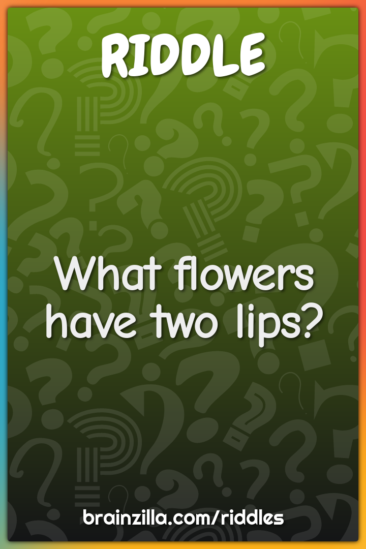 What flowers have two lips?